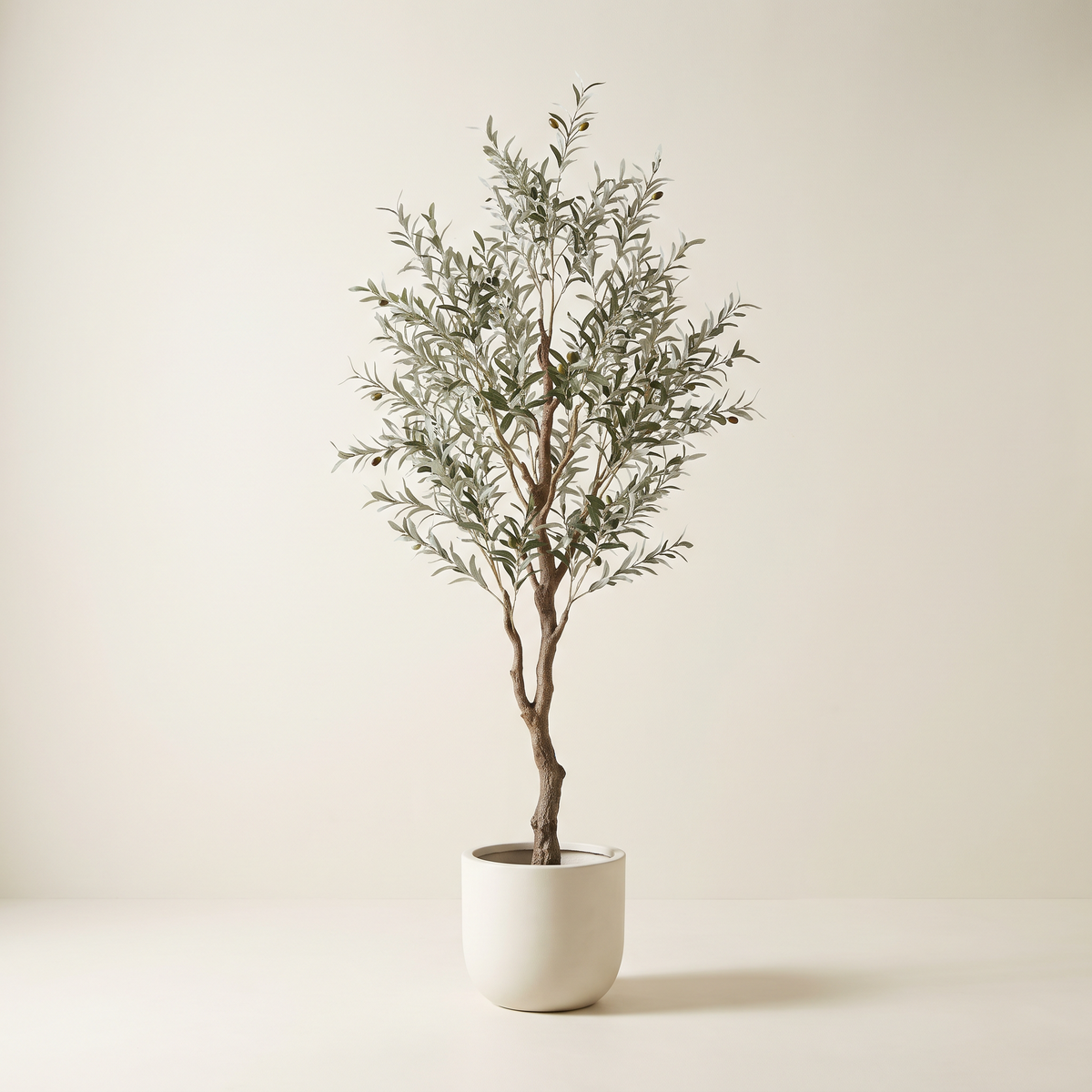 Faux olive tree in a bone-white ceramic pot