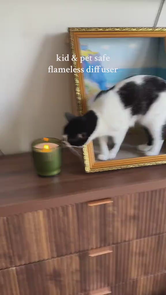 Kid and pet safe — the flameless candle beside a cat
